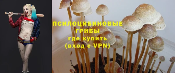 spice Баксан